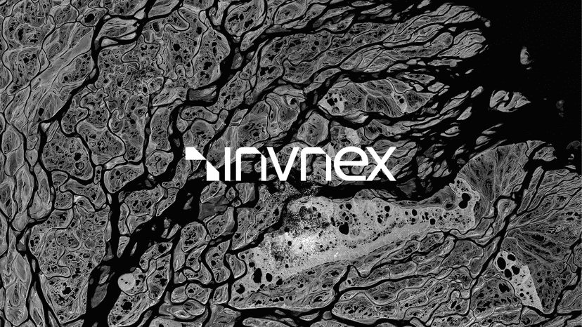 Creating a Diversified Portfolio on Invnex